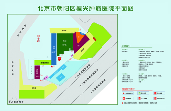 特别舒服的操逼黄色视频北京市朝阳区桓兴肿瘤医院平面图